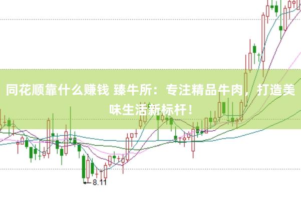 同花顺靠什么赚钱 臻牛所：专注精品牛肉，打造美味生活新标杆！
