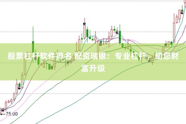 股票杠杆软件排名 配资瑞银：专业杠杆，助您财富升级