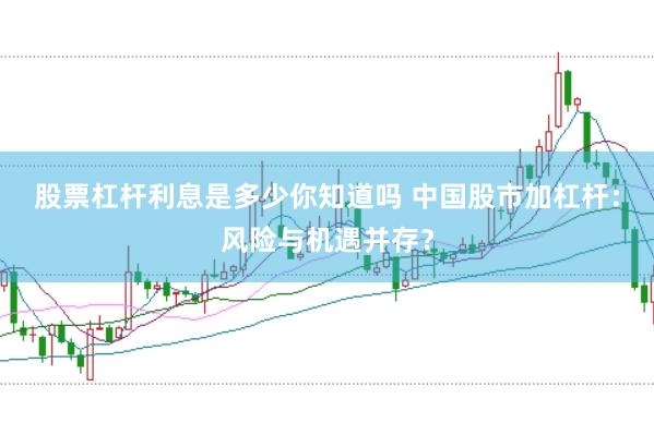 股票杠杆利息是多少你知道吗 中国股市加杠杆：风险与机遇并存？