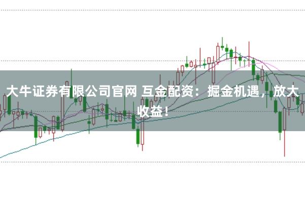 大牛证券有限公司官网 互金配资：掘金机遇，放大收益！