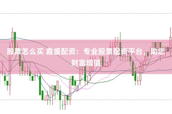 股票怎么买 鑫盛配资：专业股票配资平台，助您财富增值