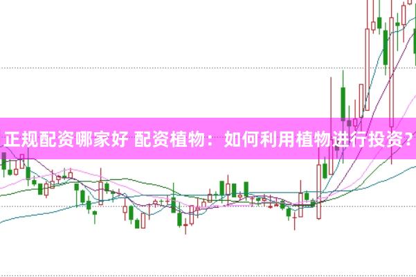 正规配资哪家好 配资植物：如何利用植物进行投资？