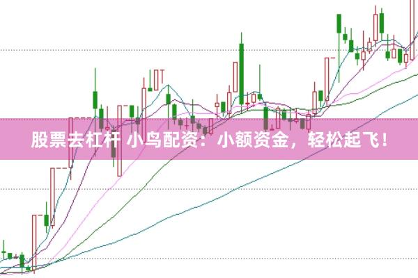 股票去杠杆 小鸟配资：小额资金，轻松起飞！