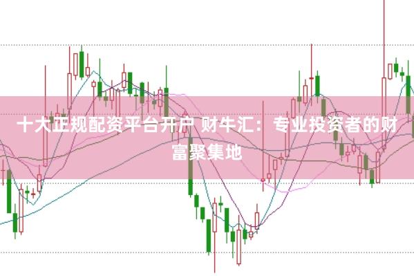 十大正规配资平台开户 财牛汇：专业投资者的财富聚集地