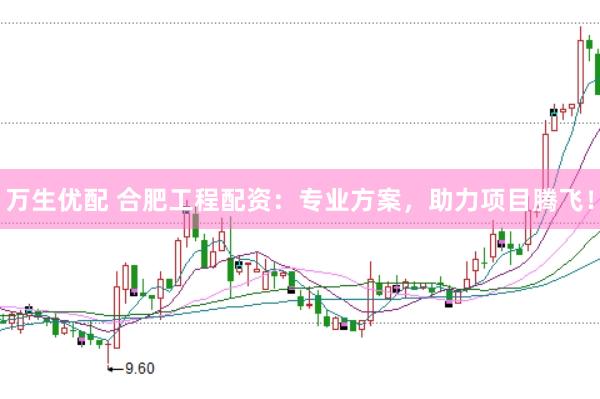 万生优配 合肥工程配资：专业方案，助力项目腾飞！