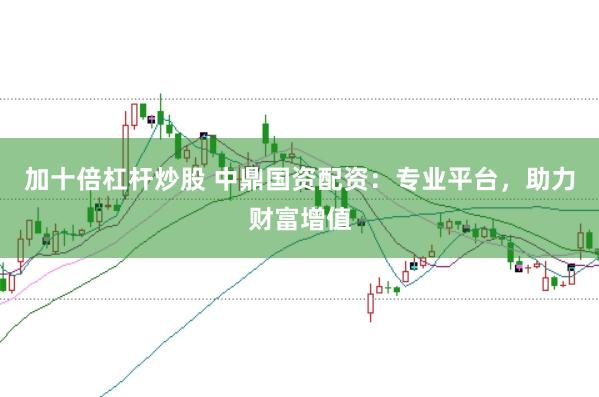 加十倍杠杆炒股 中鼎国资配资：专业平台，助力财富增值