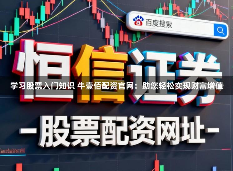 学习股票入门知识 牛壹佰配资官网：助您轻松实现财富增值