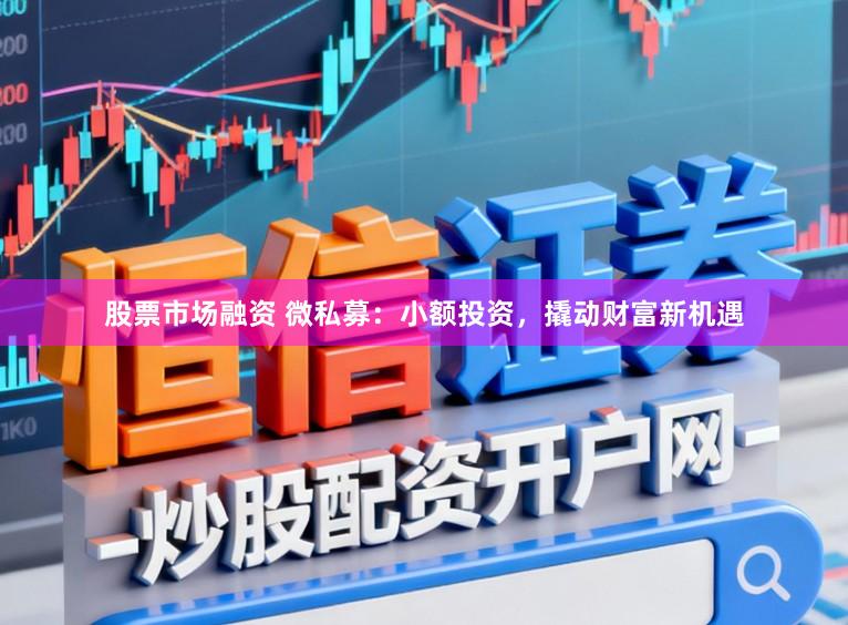 股票市场融资 微私募：小额投资，撬动财富新机遇
